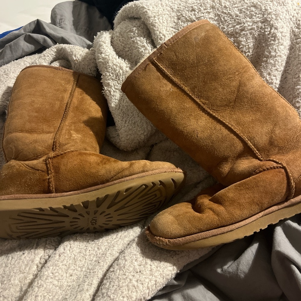 UGG Chestnut Suede Tall boots
